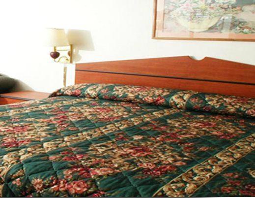 Executive Inn Dallas Room photo